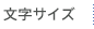 文字サイズ